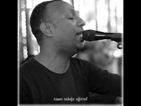 العندليب هون ياليل 2022