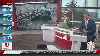 Petaluma animal rescue