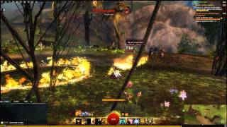 (Dxtory) GW2 Capture and Encode (Test)