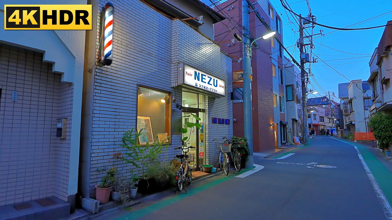 [4K/HDR] Вечерняя прогулка по Токио и городу Синагава | Япония