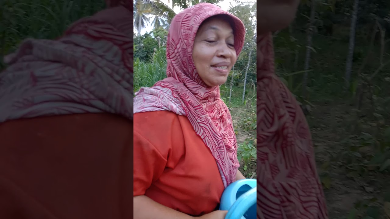 สวนโต๊ะแวบันนังกูแว