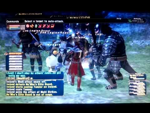 Final Fantasy XI FFXI RDM99WHM49 RDM Red Mage Wings of the Goddess ...