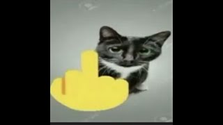 lioasldkkahlejkwfkjhsadfhasdjasdkl
