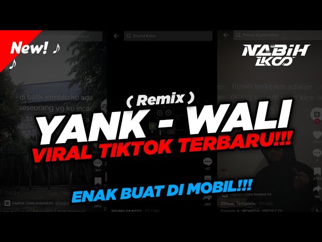 DJ YANK - WALI BAND VIRAL TIKTOK!!! ( Nagaswara ) Sayangku Mau Bicara ( Nabih Fvnky ) class=