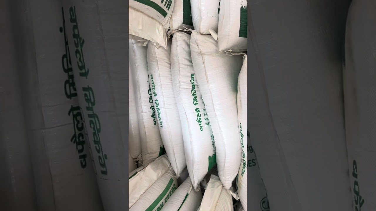 “Maa Dairy Feeds की पूरी जानकारी | डेयरी पशुओं के लिए बेस्ट फीड ब्रांड”