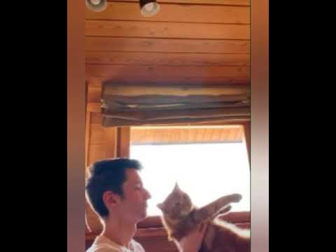 Картинки симбы старшего из тик тока