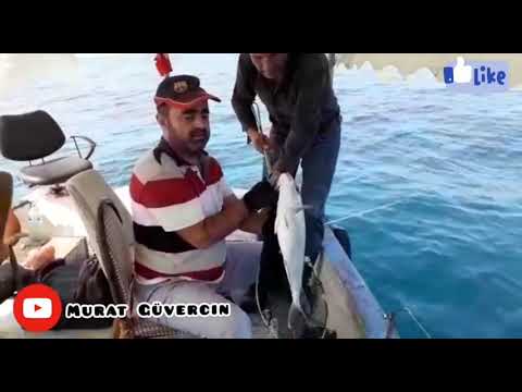 imtiyaz akya kuzu Jig avı İskenderun hatay part 3