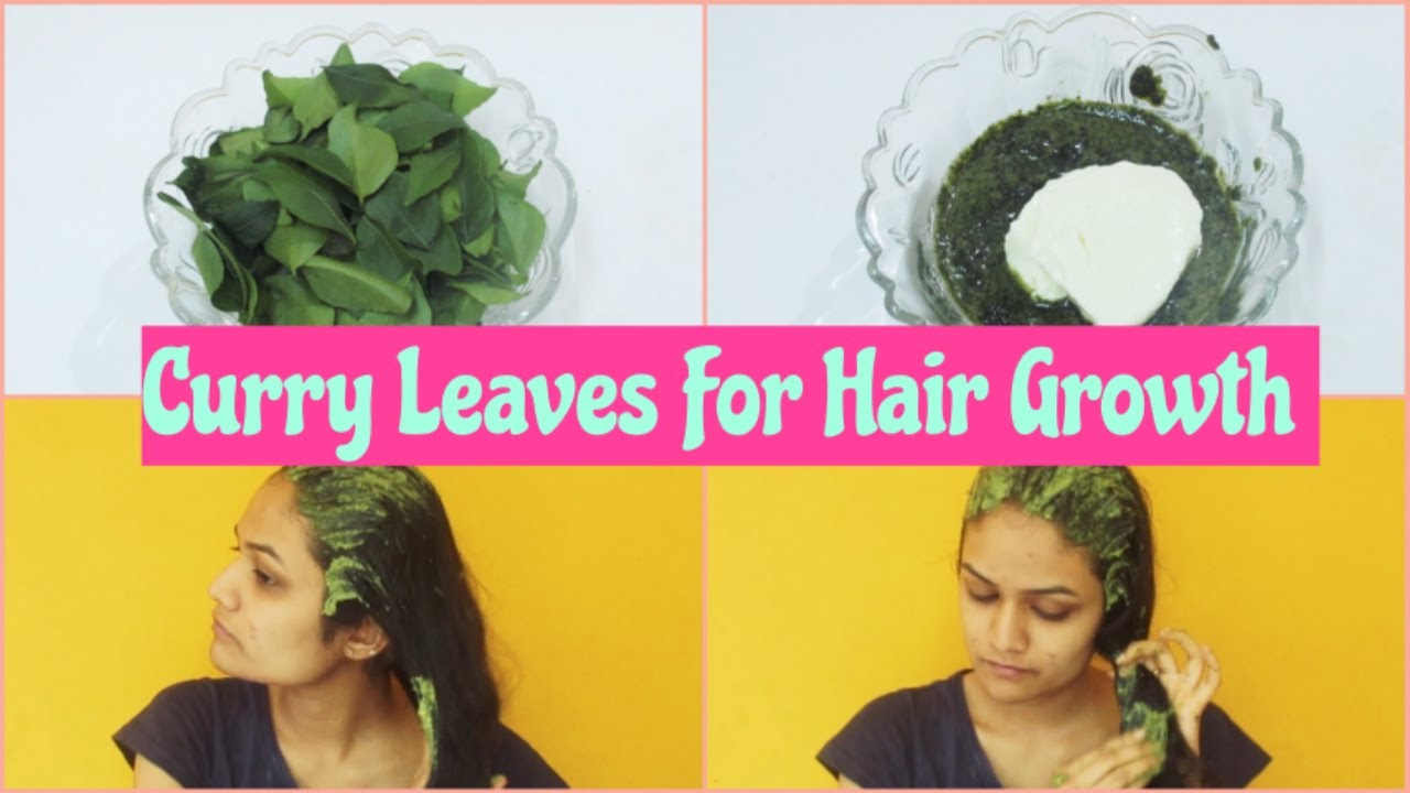 How To Use Curry Leaves For Hair Fall | Curry Leaves Benefits For Hair In  Hindi - YouTube