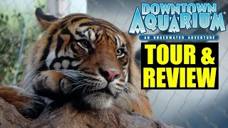 Downtown Aquarium (Denver) 2026 Tour  @ review