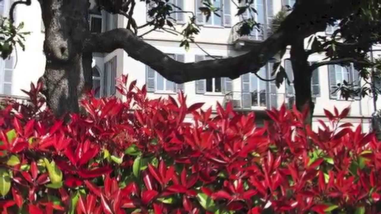 In A Little Spanish Town - Hugo & Luigi's Cascading Voices!  (ALBUM)