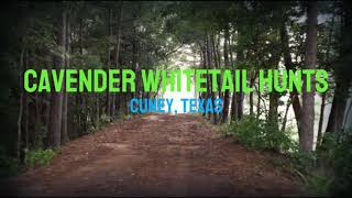 Cavender Whitetail Hunts