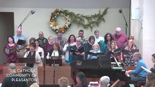 Sunday Mass Live Stream - July 12, 2026: Fifteenth Sunday in Ordinary Time