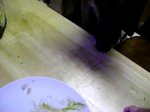 What Happens If A Dog Eats Hot Sauce What Happens If A Dog Eats Hot Sauce
