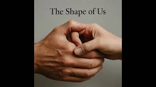 Download Lagu The Shape of Us MP3 Download Lagu The Shape of Us MP3