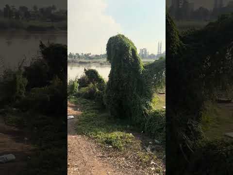  20 2025 ساحلی اهواز