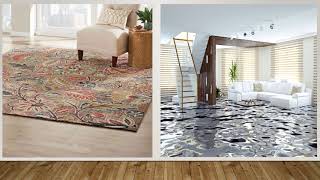 Pet Stain Removal Farmington NM