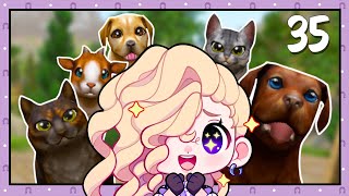 Adopting a NEW pet 🐾 - Star Equestrian [35]