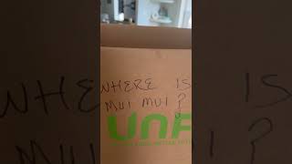 Where is Miu Miu?