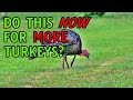 How to create the best habitat for wild turkeys