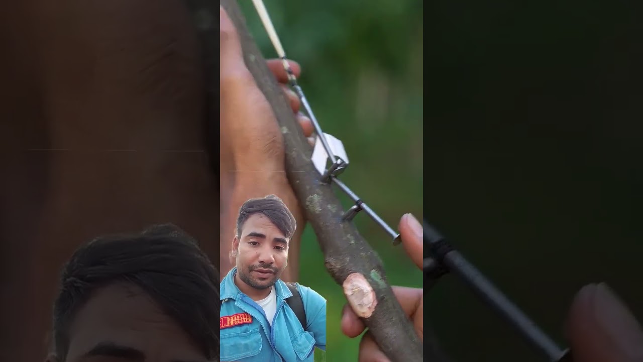 Бамбуковые рогатки своими руками с резиновым канатом 