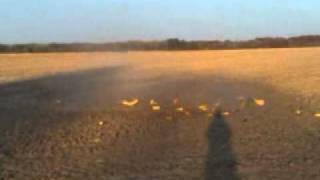 92 lbs huge exploding pumpkin