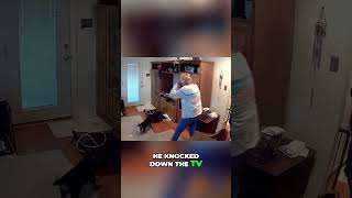 Funny Dog Knocks Over TV &amp; Owner Falls! CHAOS! 😂 #Shorts