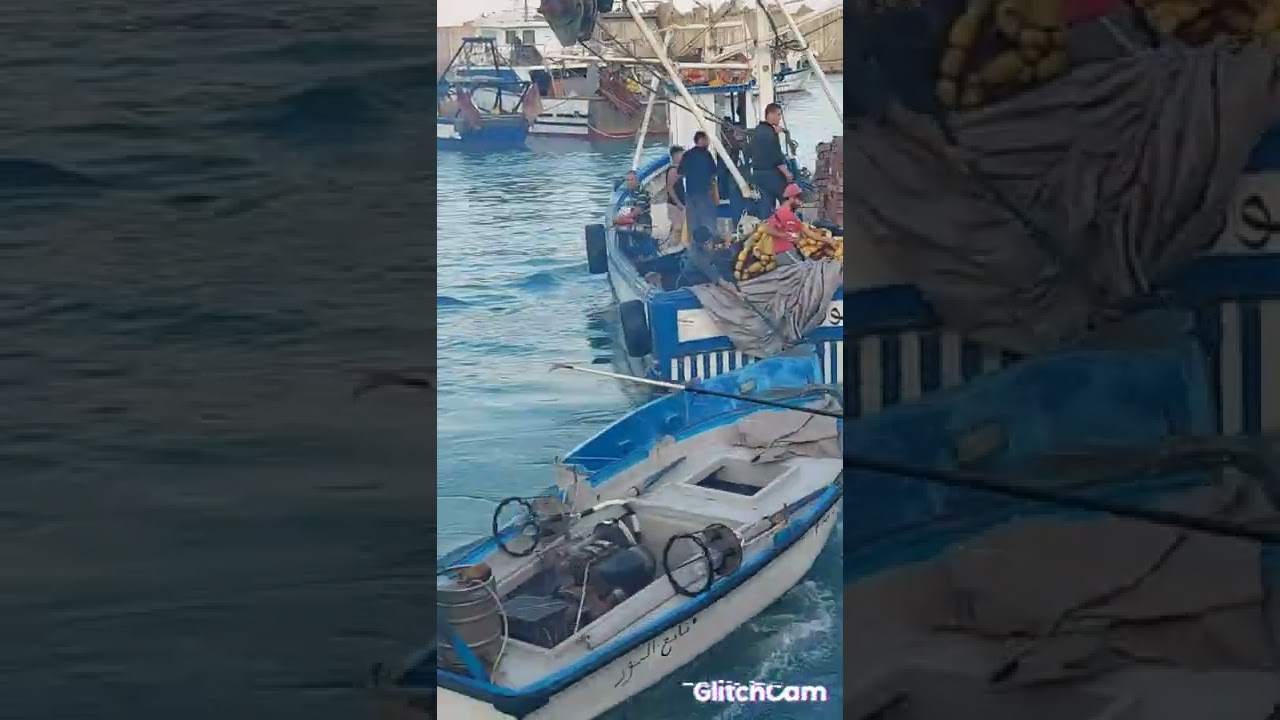 ميناء دلس مع خروج الصادين