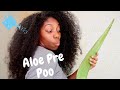 Aloe Vera Pre Poo on Natural Hair| Aloe Vera for Hair Growth and Length Retention