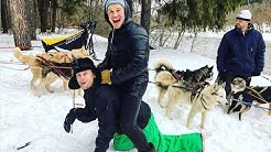 Подмосковная Аляска. Путешествие на собачьих упряжках. Муж на час. Артем против игуаны.