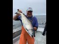 Salmon trolling on the chasin crustacean 07122022