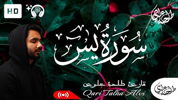 Surah Yasin (Yaseen) Full - Talha Alvi | سورة يس - طلحه علوي