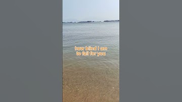 (unconfirmed title) 12-6-24 (reupload from new account)