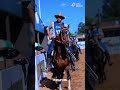 43º Exposição Nacional do Cavalo Mangalarga Marchador 📍Parque de Exposição da Gameleira