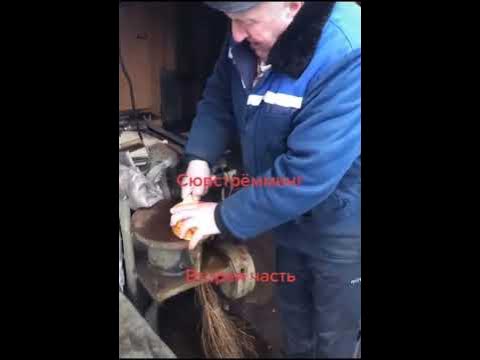 сюрстрьомінг - YouTube