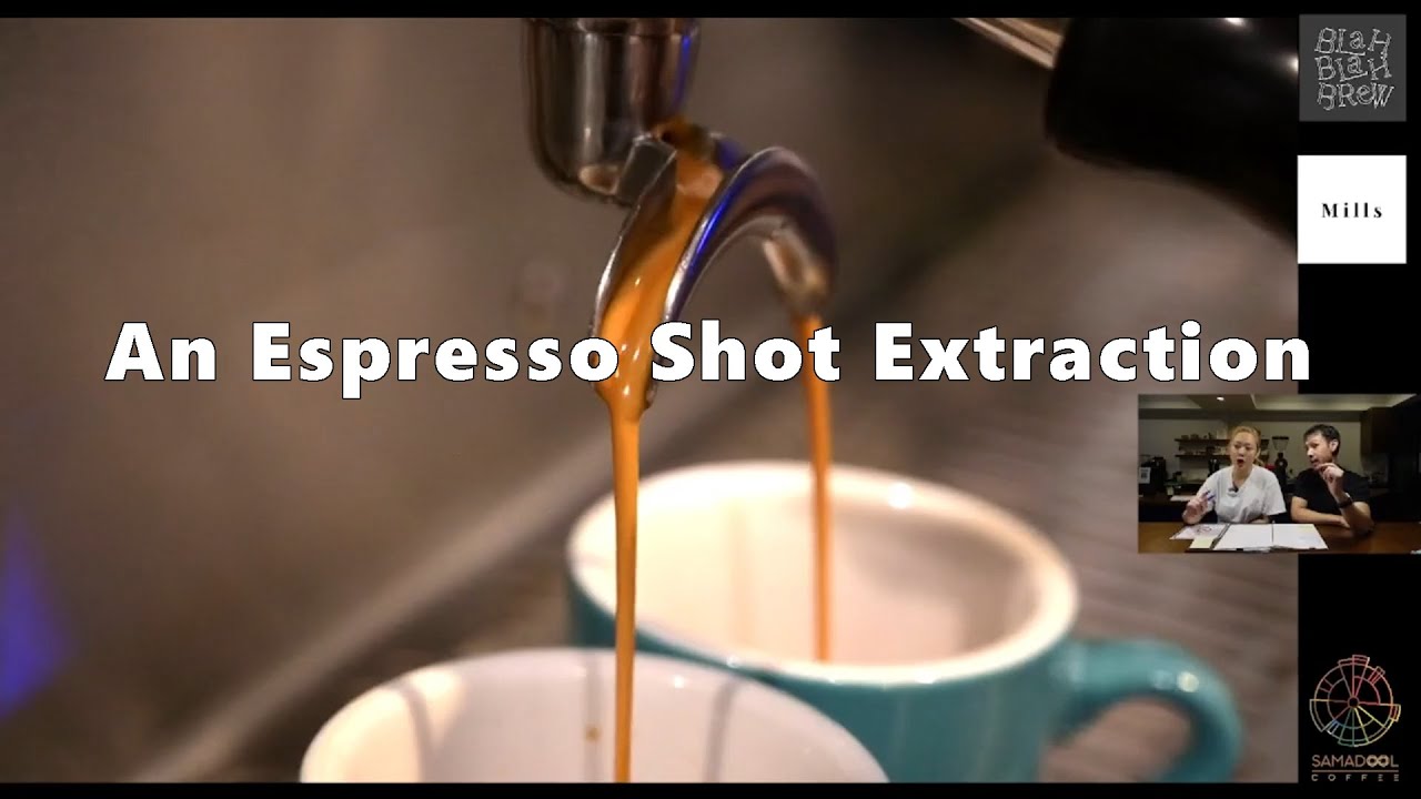 An Espresso Shot Extraction | Samadool Coffee