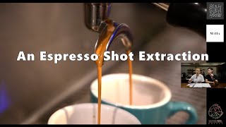 An Espresso Shot Extraction | Samadool Coffee
