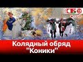 Необычный колядный обряд "Коники" в Давид-Городке | СТРИМ