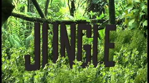 Adobe After Effects Quick Jungle Scene