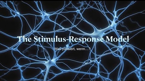 The Stimulus-Response Model          Was passiert, wenn…?