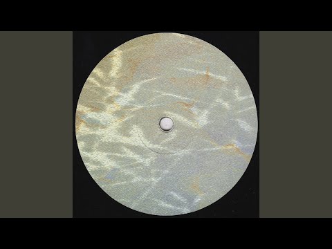 Cousin — Pistol Shrimp