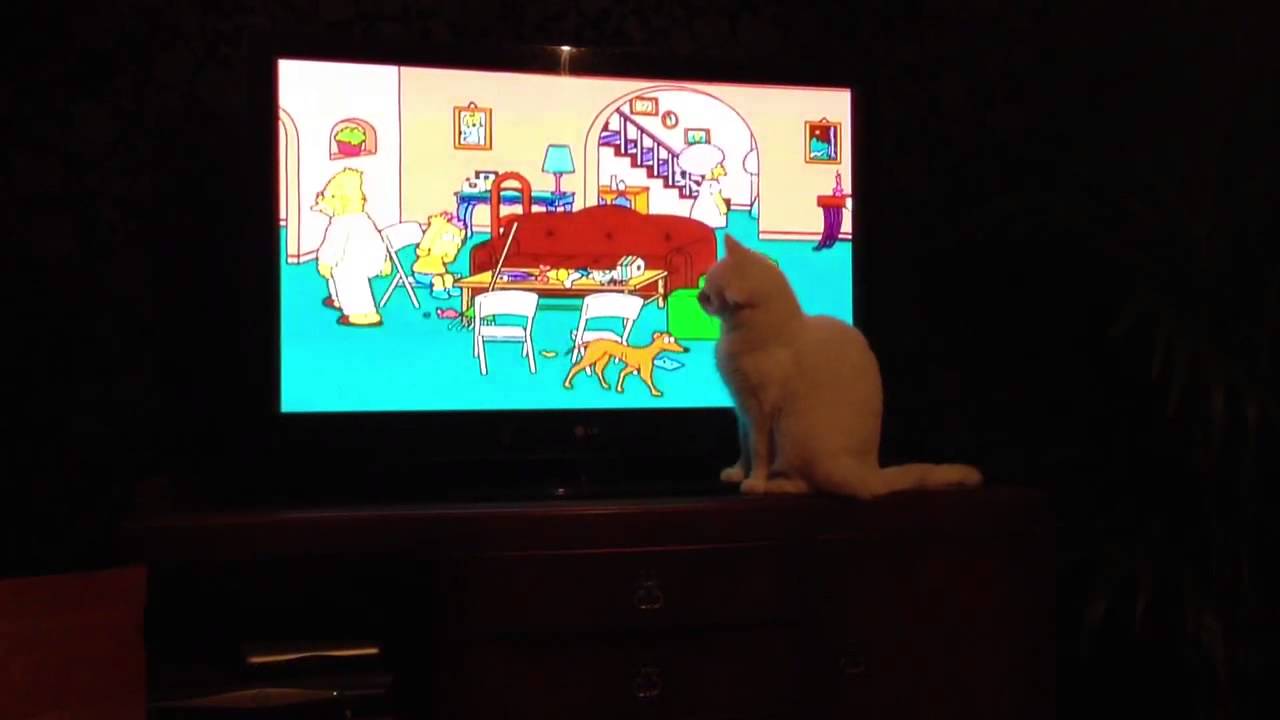 Simpsons Ralph Duck Albert the cat loves The Simpsons - Ralph Wiggum DUCK DUCK DUCK - YouTube