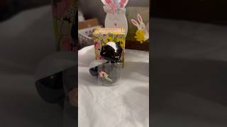 Awesome Avon Find #avon #vintagevibes #finds #goodwillfinds #avonproducts #cologne #1970s #youtube