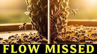 Why Strong Colonies Miss the Main Nectar Flow — The 21-Day Shift Most Beekeepers Ignore