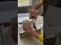 Ikago Self-Heating Mug: Perfect for My Morning Routine