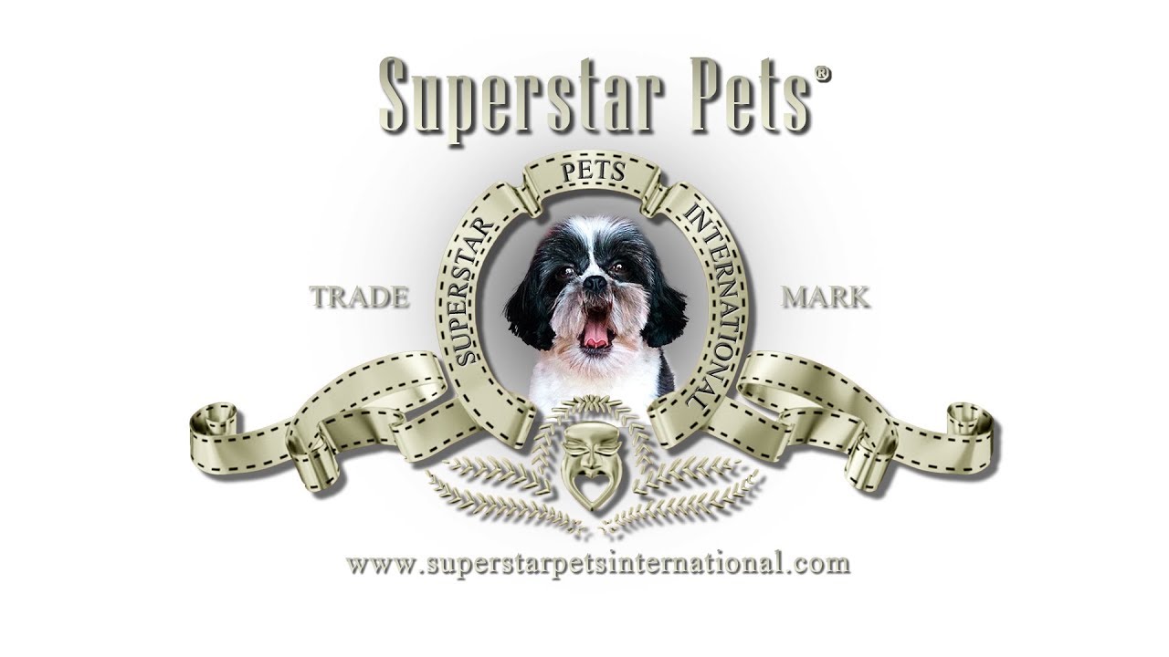 superstar collection