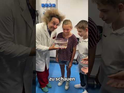Wenn ihr auch Speedy die Meeresschildkröte sehen wollt, dann holt euch jetzt Tickets zur Behind