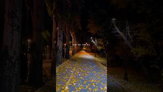 Aisa Deewana Hua Hai Ye Dil  Aesthetic S  aloneworld1m