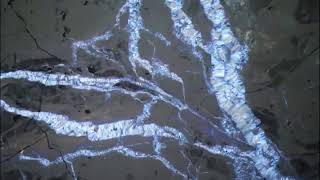 23. Thin section video: Rodingite 2