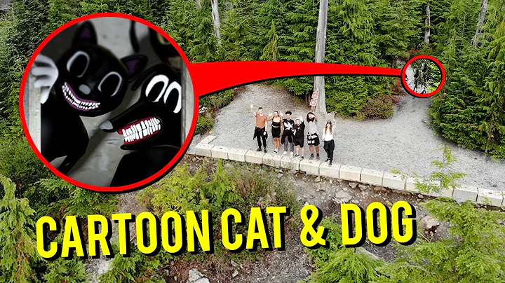 DRONE CATCHES CARTOON CAT AND CARTOON DOG IN THE M...