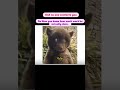 Corporate Memes| RD Automation Learning| Funny Memes